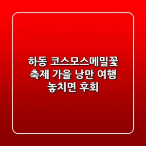 하동 코스모스·메밀꽃 축제: 가을 낭만 여행, 놓치면 후회!