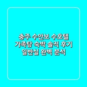충주 수안보 수호텔 가족탕 숙박 솔직 후기: 일반실 완벽 분석