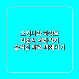 오키나와 하얏트 리젠시 세라가키, 숨겨진 매력 파헤치기!