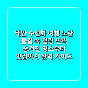 태안 수선화 여행, 노란 물결 속 힐링 만끽! 숨겨진 명소부터 맛집까지 완벽 가이드