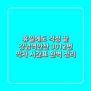 휴일에도 걱정 끝! 강남역-안산 3012번 막차 시간표 완벽 정리