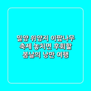 밀양 위양지 이팝나무 축제: 놓치면 후회할 봄날의 낭만 여행