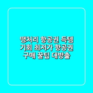 땡처리 항공권 득템 기회! 최저가 항공권 구매 꿀팁 대방출