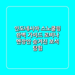 인도네시아 스노쿨링 완벽 가이드: 로비나 & 멘장안 숨겨진 보석 탐험💎