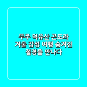무주 덕유산 곤도라: 겨울 감성 여행, 숨겨진 절경을 만나다