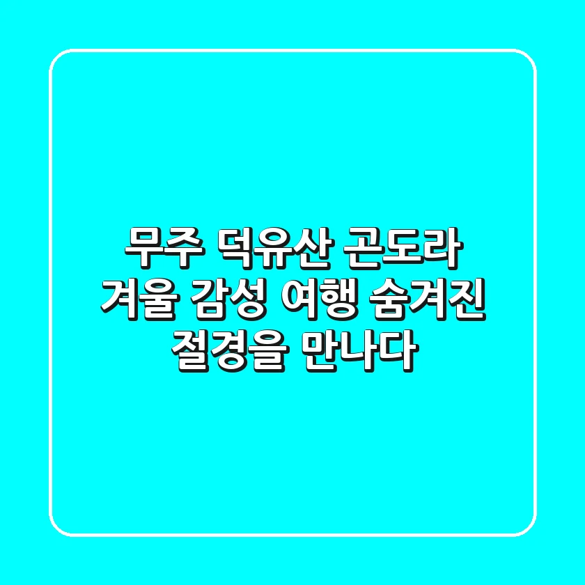 무주 덕유산 곤도라: 겨울 감성 여행, 숨겨진 절경을 만나다