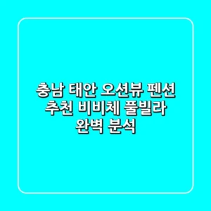충남 태안 오션뷰 펜션 추천! 비비체 풀빌라 완벽 분석