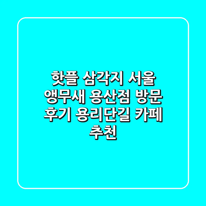 [핫플 삼각지] 서울 앵무새 용산점 방문 후기! 용리단길 카페 추천