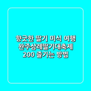향긋한 딸기 미식 여행! 완주삼례딸기대축제 200% 즐기는 방법