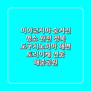 미야코지마 숨겨진 명소 완전 정복! 도구치노하마 해변, 토리이케 연못, 해중공원