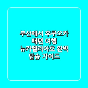 부산에서 후쿠오카 배편 여행: 뉴카멜리아호 완벽 탑승 가이드