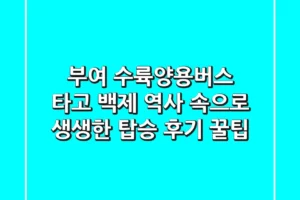 부여 수륙양용버스 타고 백제 역사 속으로! 생생한 탑승 후기 & 꿀팁