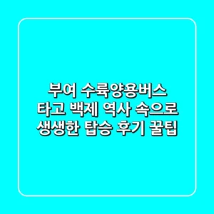부여 수륙양용버스 타고 백제 역사 속으로! 생생한 탑승 후기 & 꿀팁