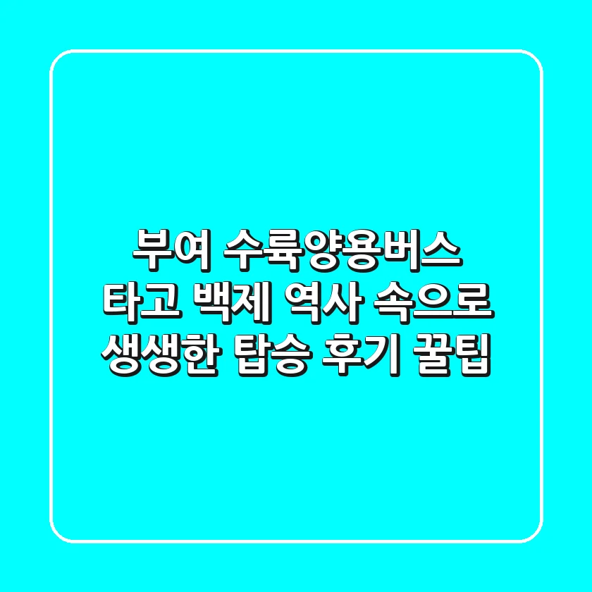 부여 수륙양용버스 타고 백제 역사 속으로! 생생한 탑승 후기 & 꿀팁