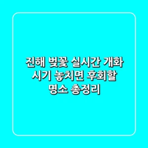 진해 벚꽃 실시간 개화 시기: 놓치면 후회할 명소 총정리