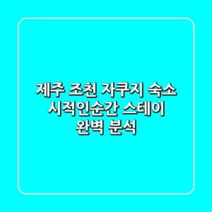 제주 조천 자쿠지 숙소: 시적인순간 스테이 완벽 분석