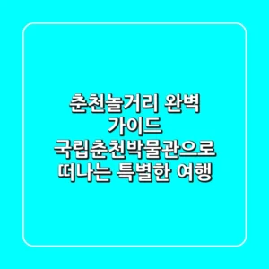 춘천놀거리 완벽 가이드: 국립춘천박물관으로 떠나는 특별한 여행