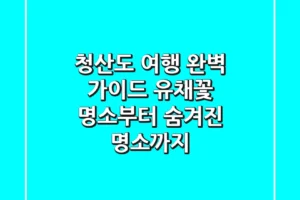 청산도 여행 완벽 가이드: 유채꽃 명소부터 숨겨진 명소까지!