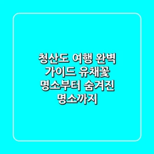 청산도 여행 완벽 가이드: 유채꽃 명소부터 숨겨진 명소까지!