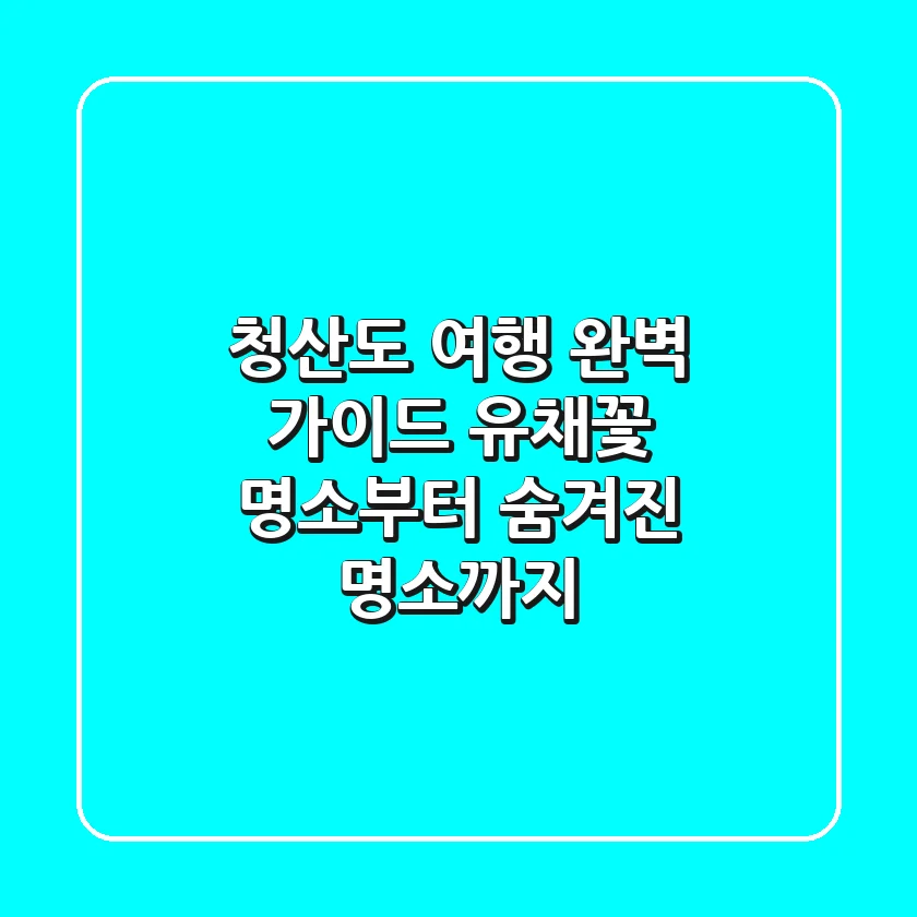청산도 여행 완벽 가이드: 유채꽃 명소부터 숨겨진 명소까지!
