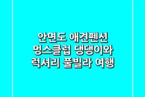 안면도 애견펜션 멍스클럽: 댕댕이와 럭셔리 풀빌라 여행