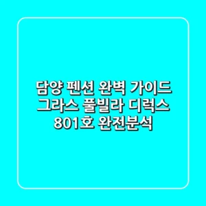 담양 펜션 완벽 가이드: 그라스 풀빌라 디럭스 801호 완전분석!