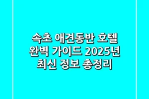 속초 애견동반 호텔 완벽 가이드: 2025년 최신 정보 총정리
