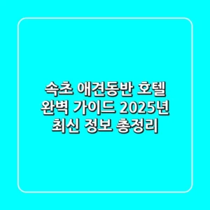 속초 애견동반 호텔 완벽 가이드: 2025년 최신 정보 총정리