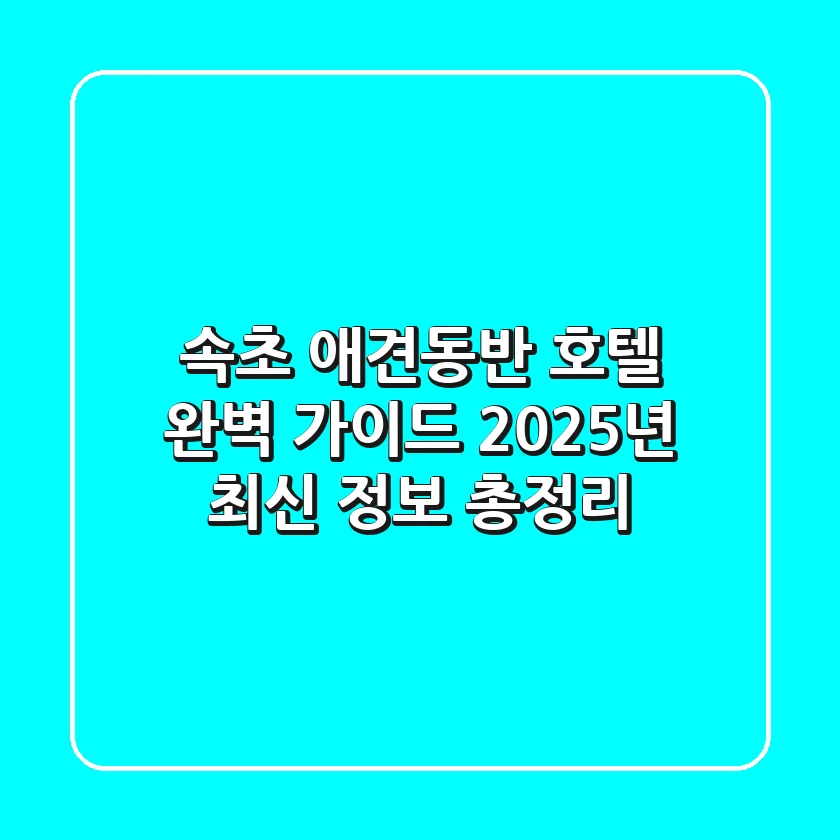 속초 애견동반 호텔 완벽 가이드: 2025년 최신 정보 총정리