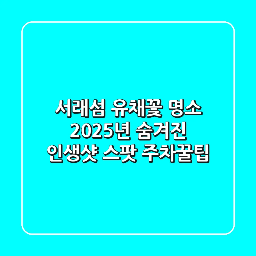 서래섬 유채꽃 명소: 2025년 숨겨진 인생샷 스팟 & 주차꿀팁