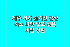 제주 서가: 숨겨진 감성 숙소, 나만 알고 싶은 비밀 정원