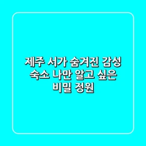 제주 서가: 숨겨진 감성 숙소, 나만 알고 싶은 비밀 정원