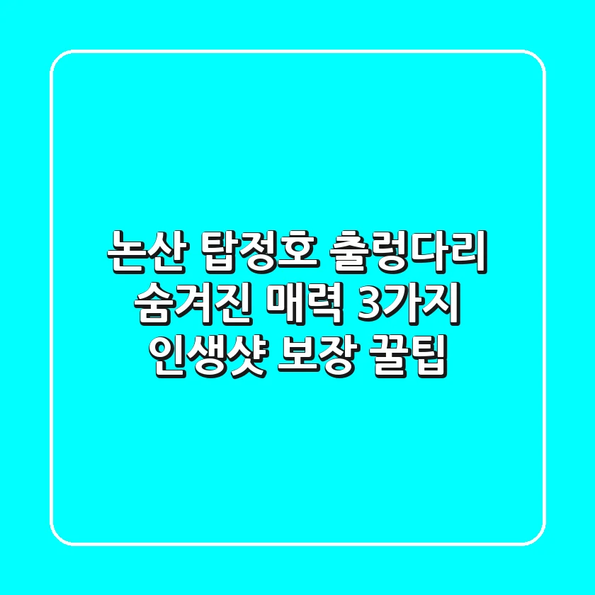 논산 탑정호 출렁다리: 숨겨진 매력 3가지 & 인생샷 보장 꿀팁