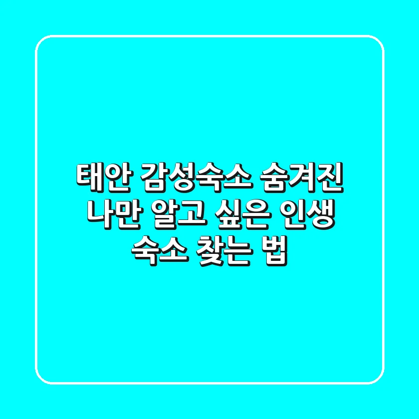 태안 감성숙소: 숨겨진 나만 알고 싶은 인생 숙소 찾는 법
