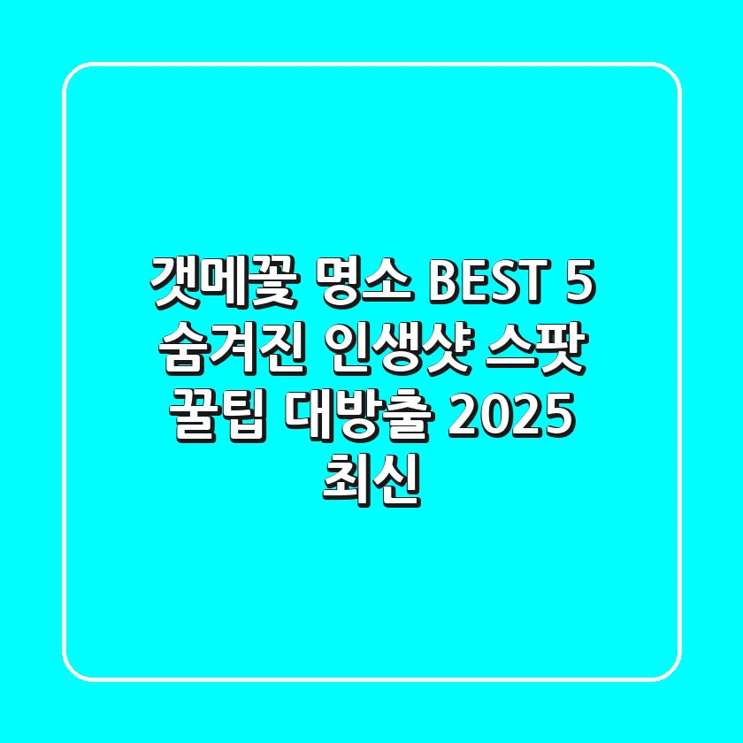 갯메꽃 명소 BEST 5: 숨겨진 인생샷 스팟 & 꿀팁 대방출 (2025 최신)