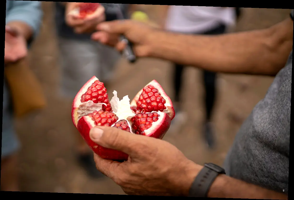 아이와 함께 맘껏 즐기는 체험 프로그램 Best 4 🍓