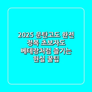2025 운탄고도 완전 정복: 초보자도 베테랑처럼 즐기는 현실 꿀팁!