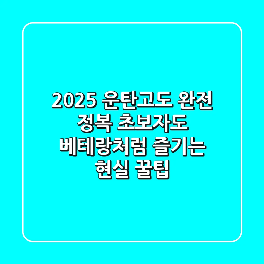 2025 운탄고도 완전 정복: 초보자도 베테랑처럼 즐기는 현실 꿀팁!