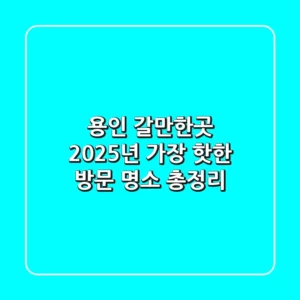용인 갈만한곳, 2025년 가장 '핫'한 방문 명소 총정리