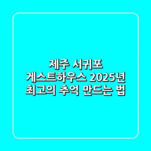 제주 서귀포 게스트하우스, 2025년 최고의 추억 만드는 법