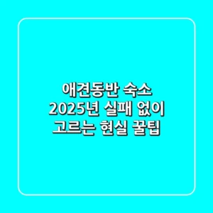 애견동반 숙소, 2025년 실패 없이 고르는 현실 꿀팁