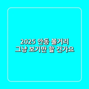 2025 안동 볼거리, 그냥 보기만 할 건가요?