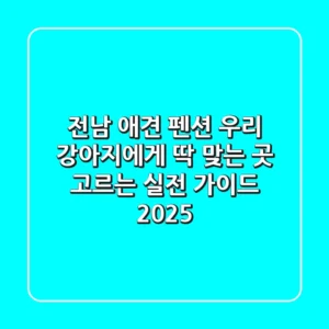 전남 애견 펜션: 우리 강아지에게 딱 맞는 곳 고르는 실전 가이드 2025