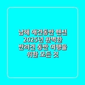 남해 애견동반 펜션, 2025년 완벽한 반려견 동반 여행을 위한 모든 것