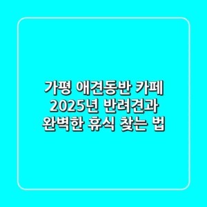 가평 애견동반 카페, 2025년 반려견과 완벽한 휴식 찾는 법