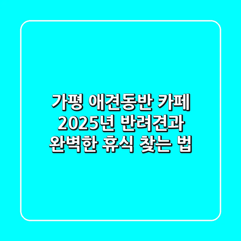 가평 애견동반 카페, 2025년 반려견과 완벽한 휴식 찾는 법