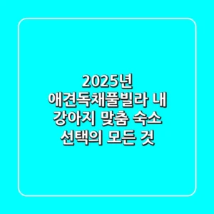 2025년 애견독채풀빌라, 내 강아지 맞춤 숙소 선택의 모든 것
