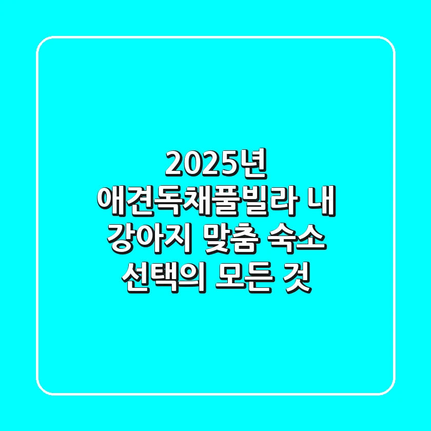 2025년 애견독채풀빌라, 내 강아지 맞춤 숙소 선택의 모든 것