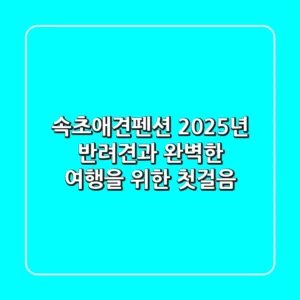 속초애견펜션, 2025년 반려견과 완벽한 여행을 위한 첫걸음!