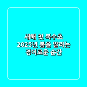 새해 첫 복수초: 2025년 봄을 알리는 경이로운 순간